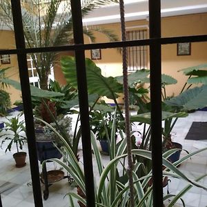 Appartement op de Begane Grond